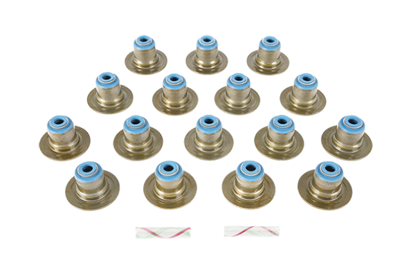 Engine_repair_valve_stem_seals_tout